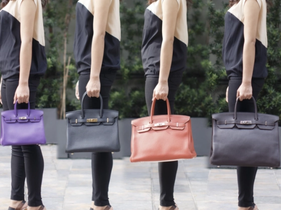 Birkin Size 20 Guide: Dimensions, Outfit Pairing & Value