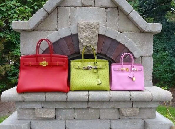 Hermes Birkin 25 vs 20 Hermes Birkin 25 vs 20