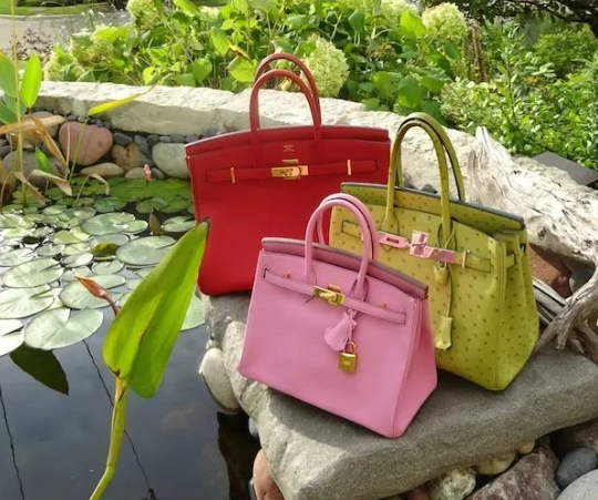 Hermes Birkin 25 vs 20 Hermes Birkin 25 vs 20
