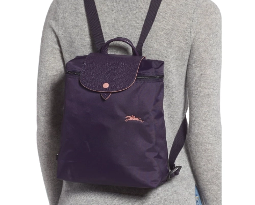Longchamp Le Pliage backpack Longchamp Le Pliage backpack