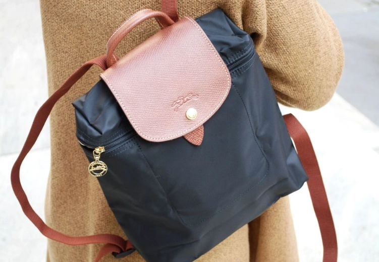 Longchamp backpack Longchamp backpack