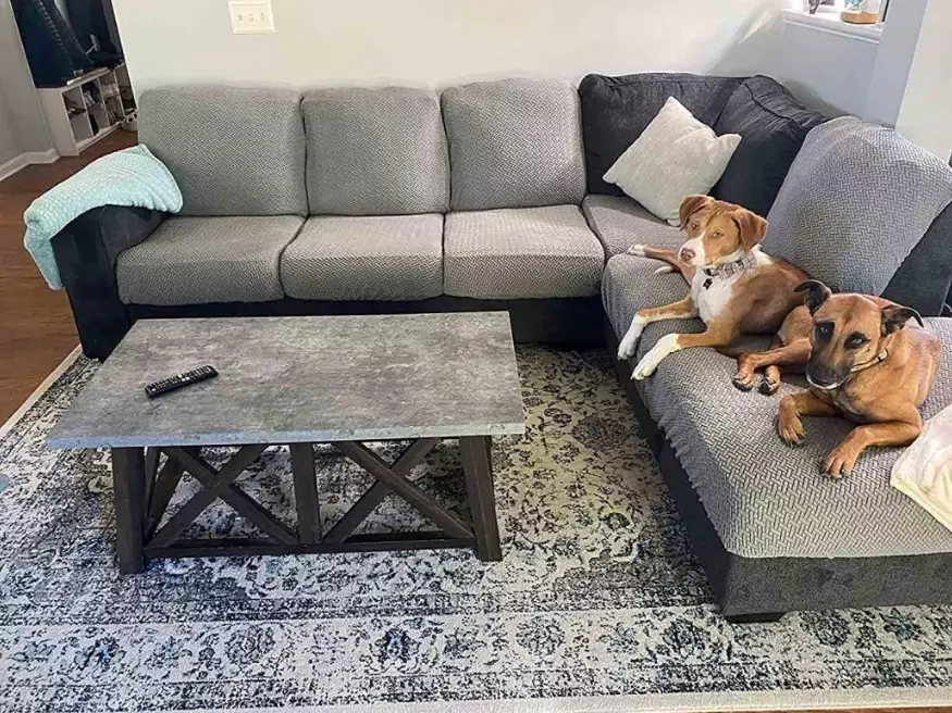 best couch material for dogs best couch material for dogs