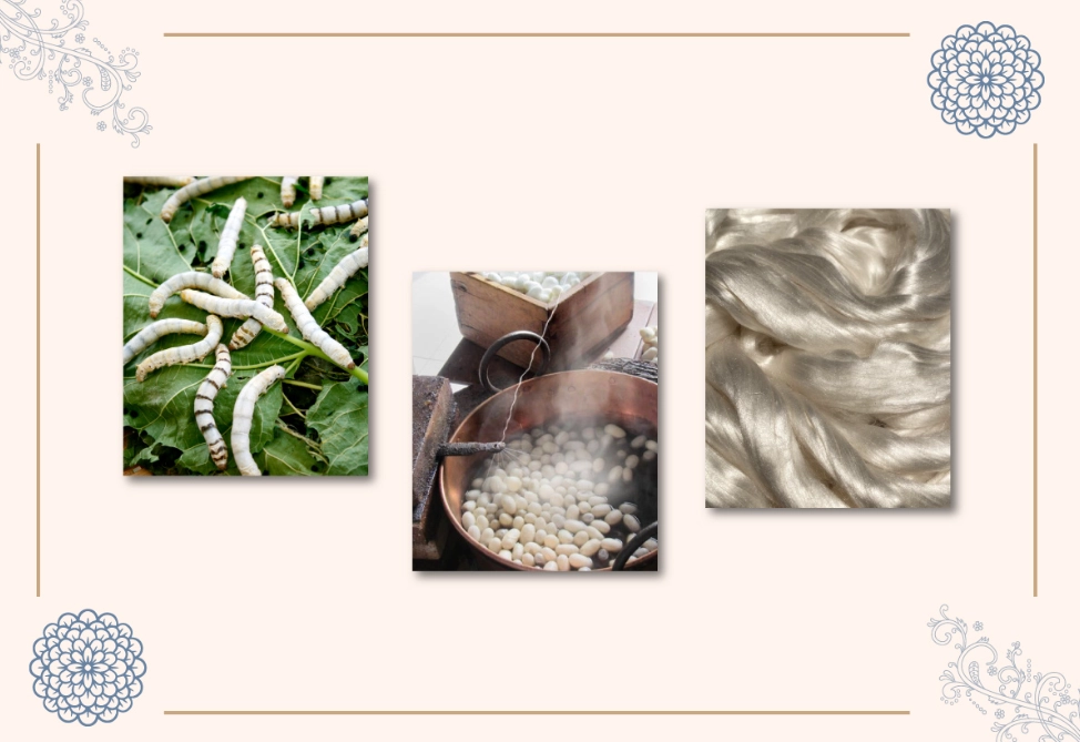 sericulture steps sericulture steps