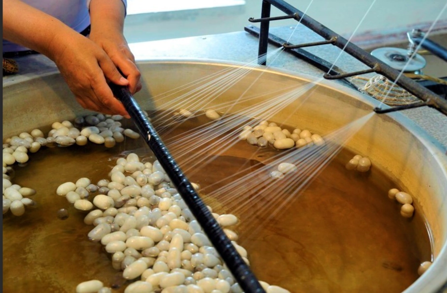 silk production process silk production process