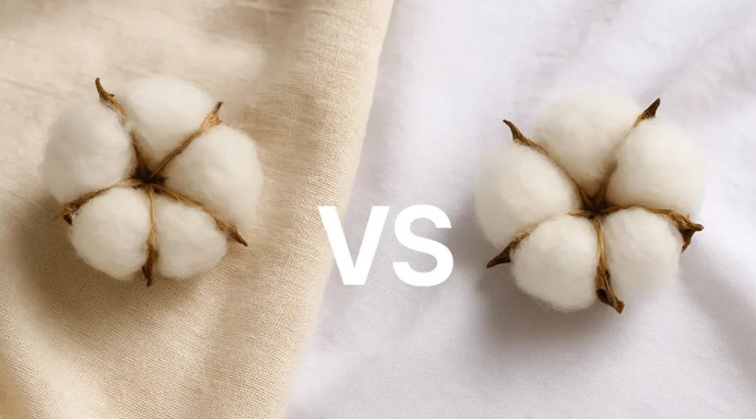 regular cotton vs organic regular cotton vs organic