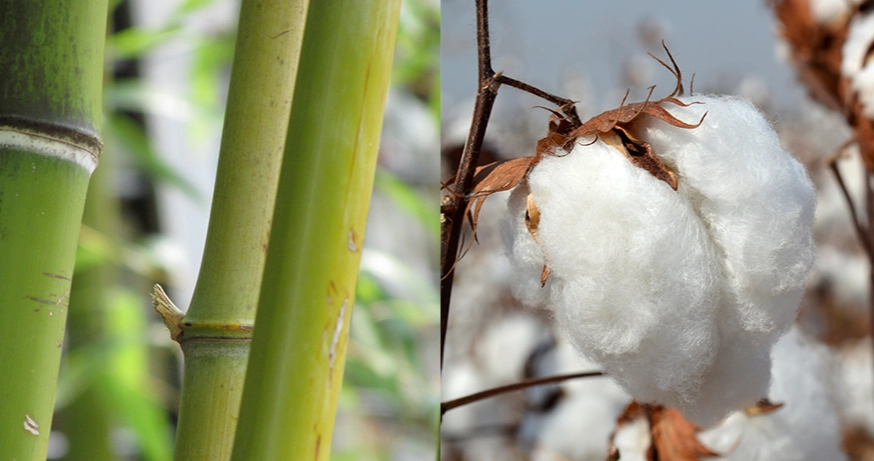 bamboo cotton sheets
