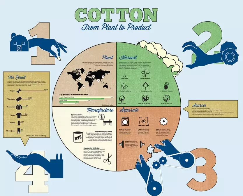 How Cotton Becomes Fabric: From Field to Finished Cloth