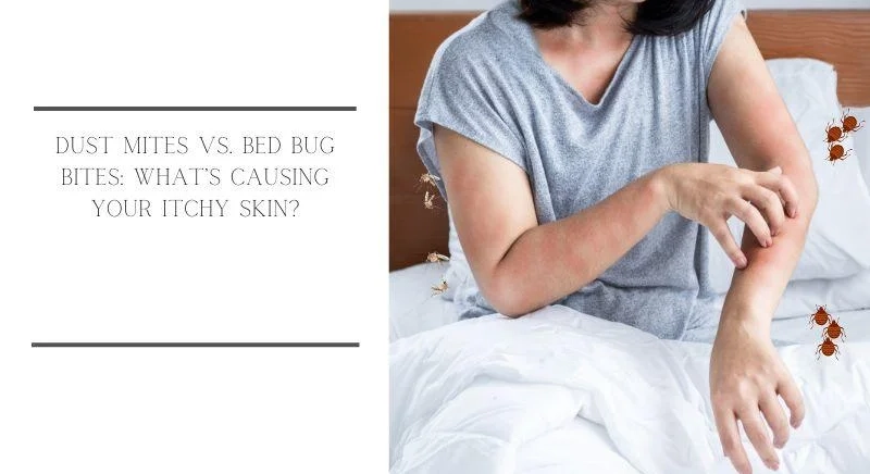 allergy relief bedding allergy relief bedding