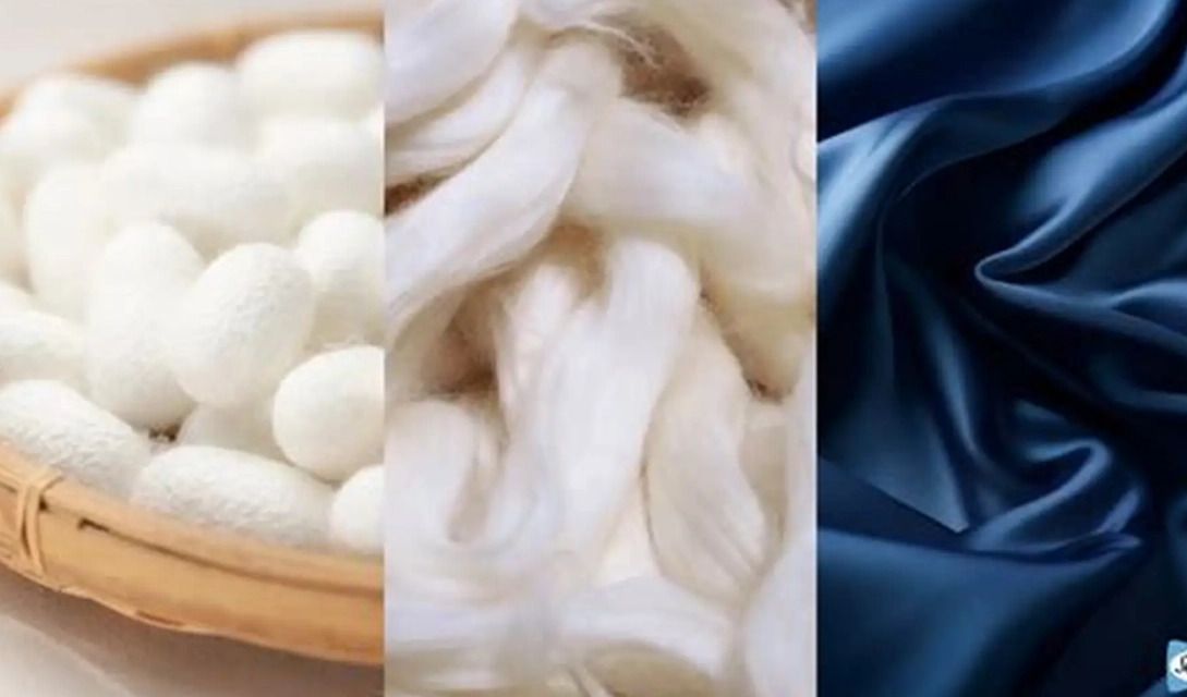 silk production process silk production process