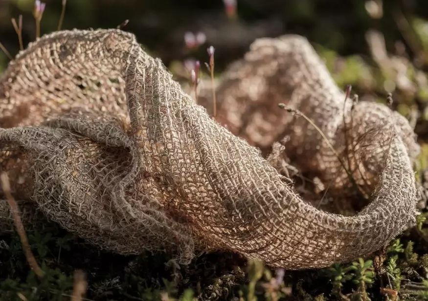 what is biodegradable fabric what is biodegradable fabric